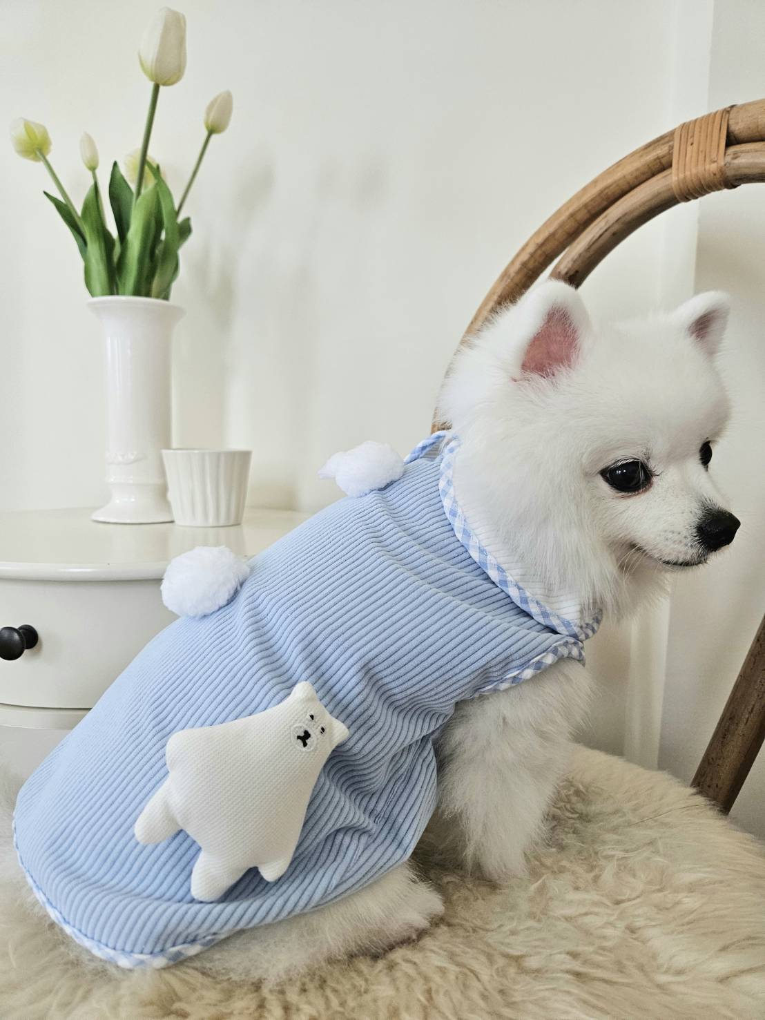Animal-Go-Round เสื้อผ้าเครื่องแต่งกาย สัตว์เลี้ยง, หมา, แมว, สุนัข รุ่น Blue Boy Polar Bear