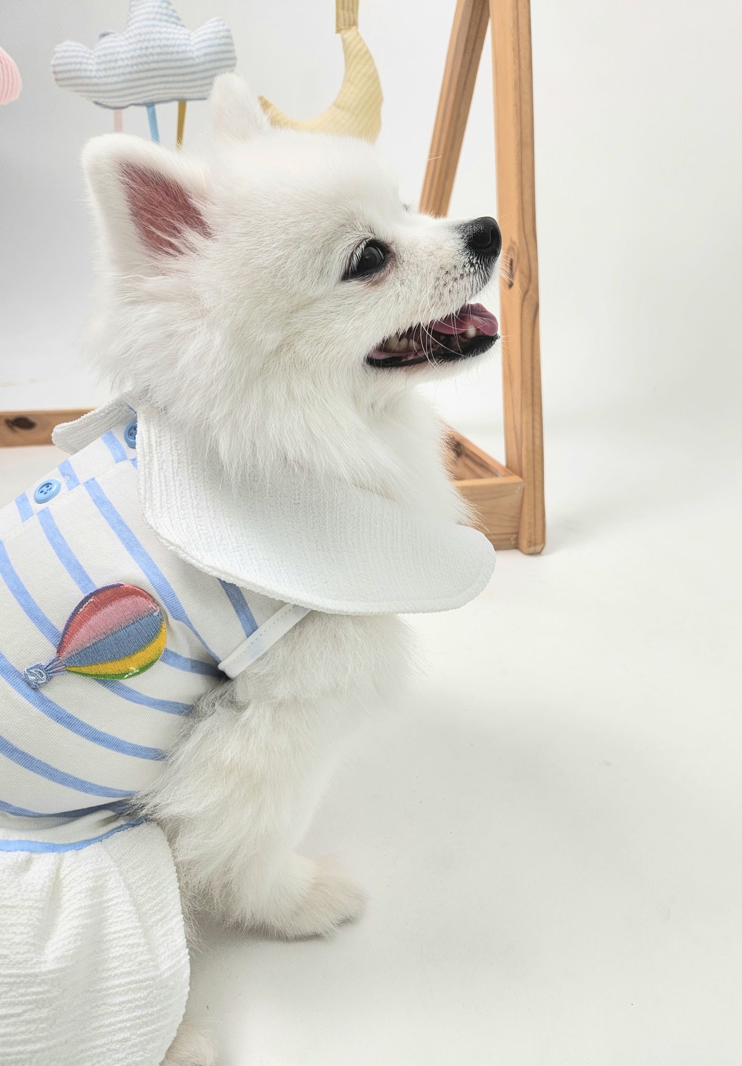 Animal-Go-Round เสื้อผ้าเครื่องแต่งกาย สัตว์เลี้ยง, หมา, แมว, สุนัข รุ่น Bubble Balloon