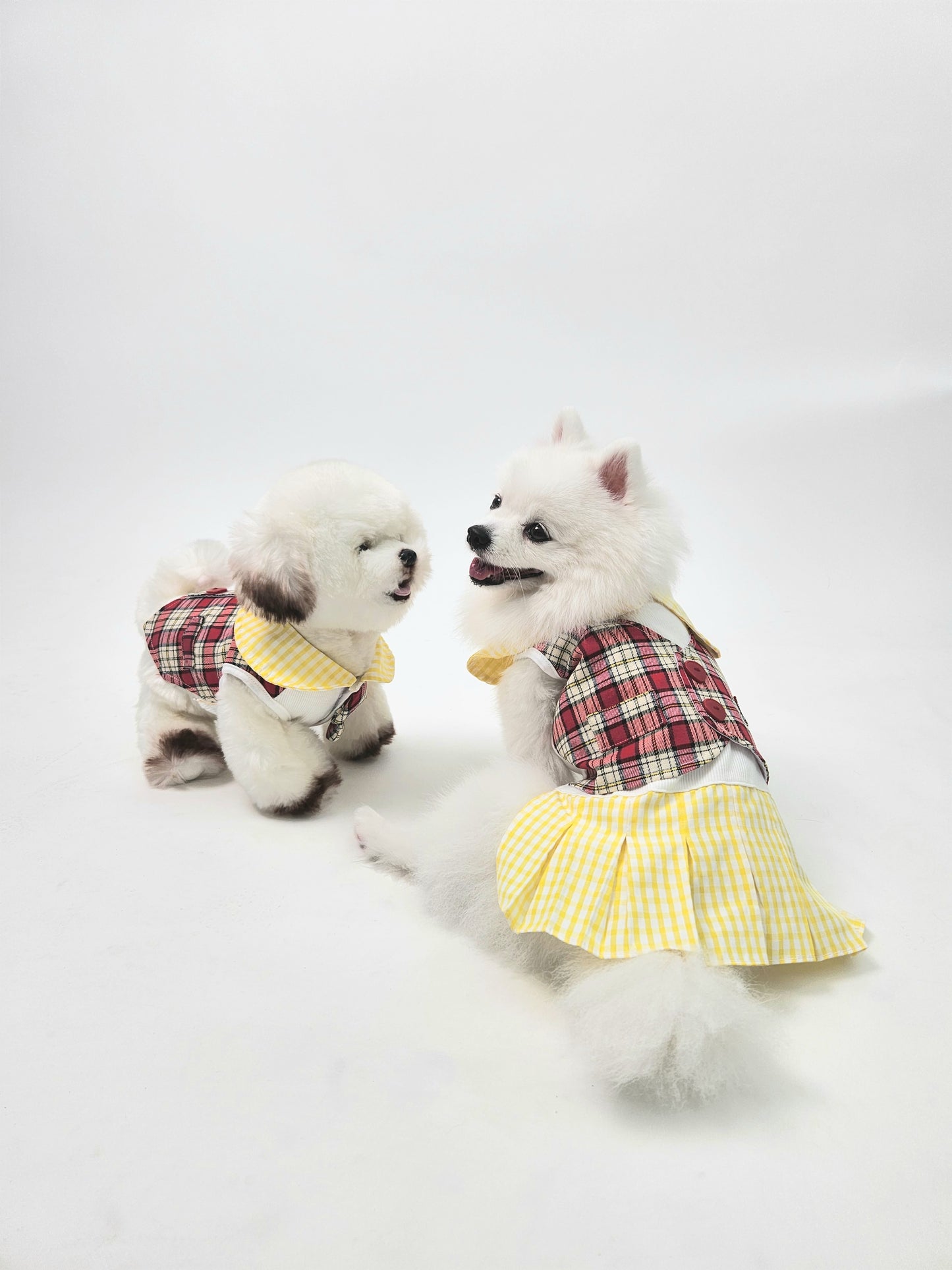 Animal-Go-Round เสื้อผ้าเครื่องแต่งกาย สัตว์เลี้ยง, หมา, แมว, สุนัข รุ่น Lani Scotty Dress