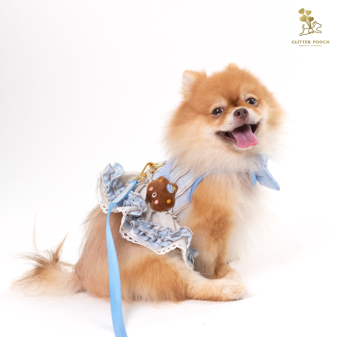 Glitter Pooch Harness ชุดรัดอก สายจูง เสื้อผ้า สุนัข, หมา, แมว, สัตว์เลี้ยง พร้อม สายจูง รุ่น Bluetiful Teddy Girl