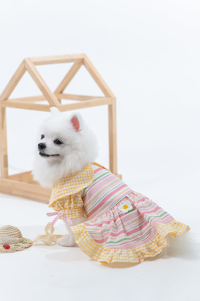 Animal-Go-Round เสื้อผ้าเครื่องแต่งกาย สัตว์เลี้ยง, หมา, แมว, สุนัข รุ่น Miss Prairie Primrose