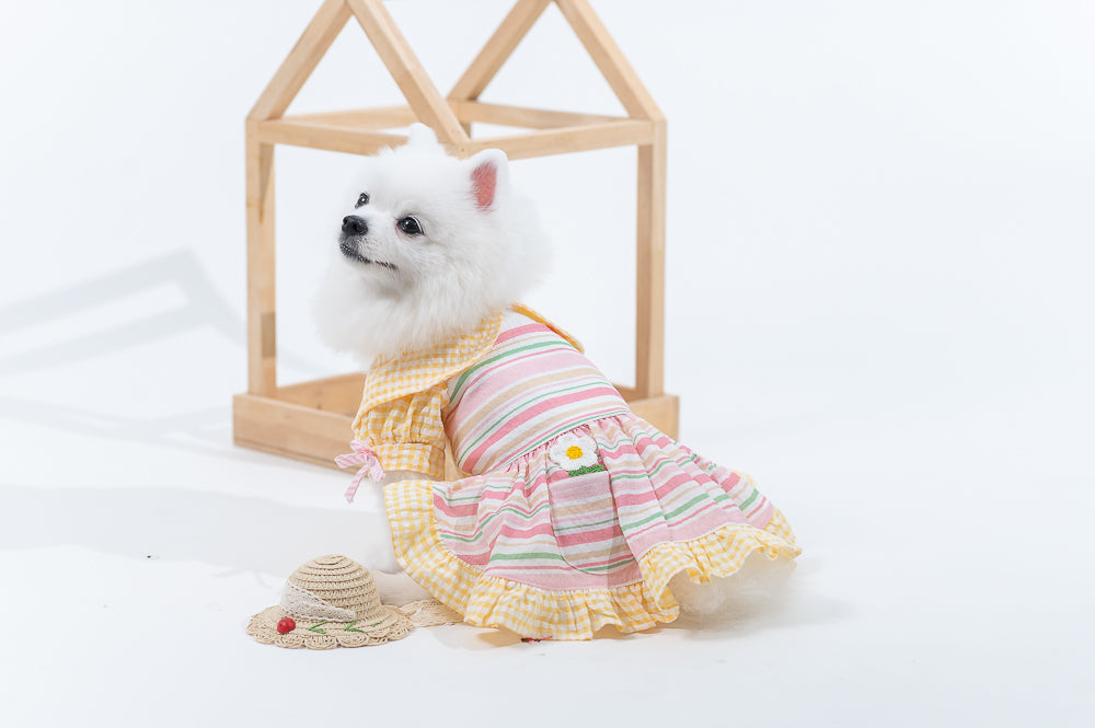 Animal-Go-Round เสื้อผ้าเครื่องแต่งกาย สัตว์เลี้ยง, หมา, แมว, สุนัข รุ่น Miss Prairie Primrose