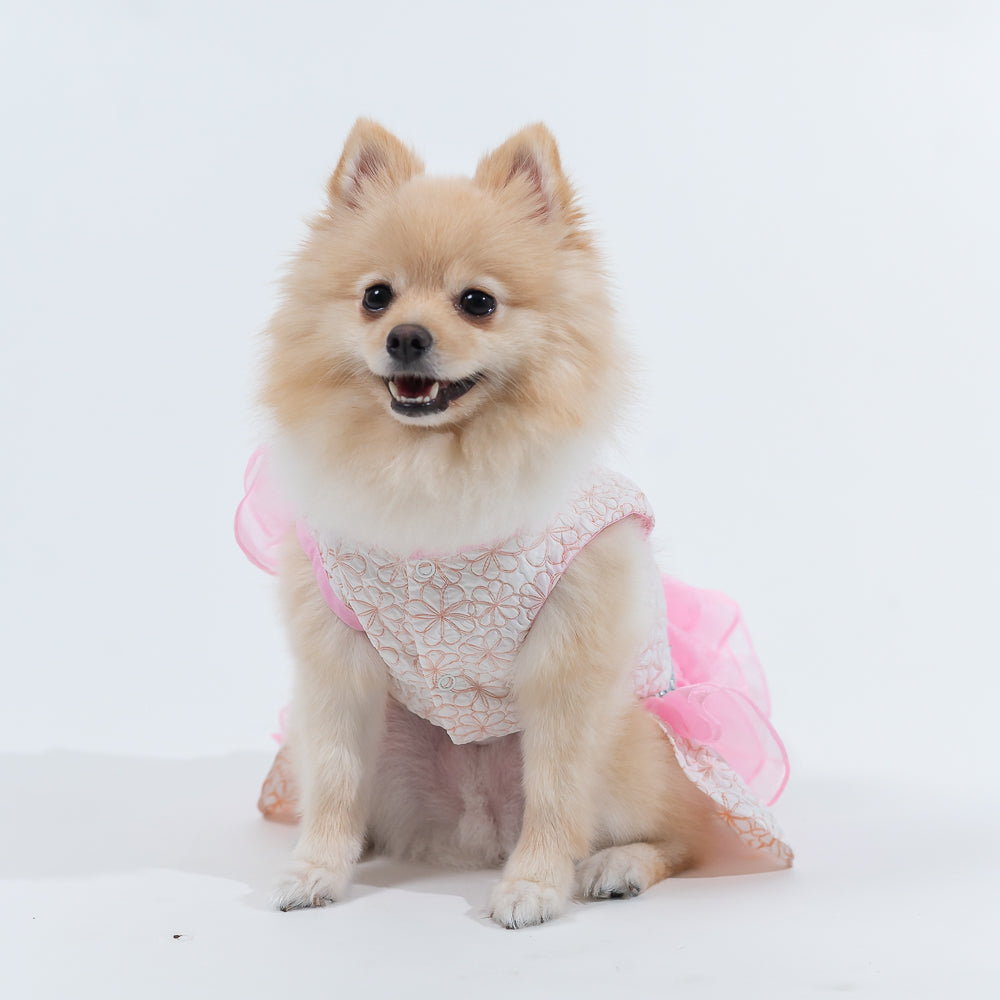 Animal-Go-Round เสื้อผ้าเครื่องแต่งกาย สัตว์เลี้ยง, หมา, แมว, สุนัข รุ่น Swan Fleurs Pink