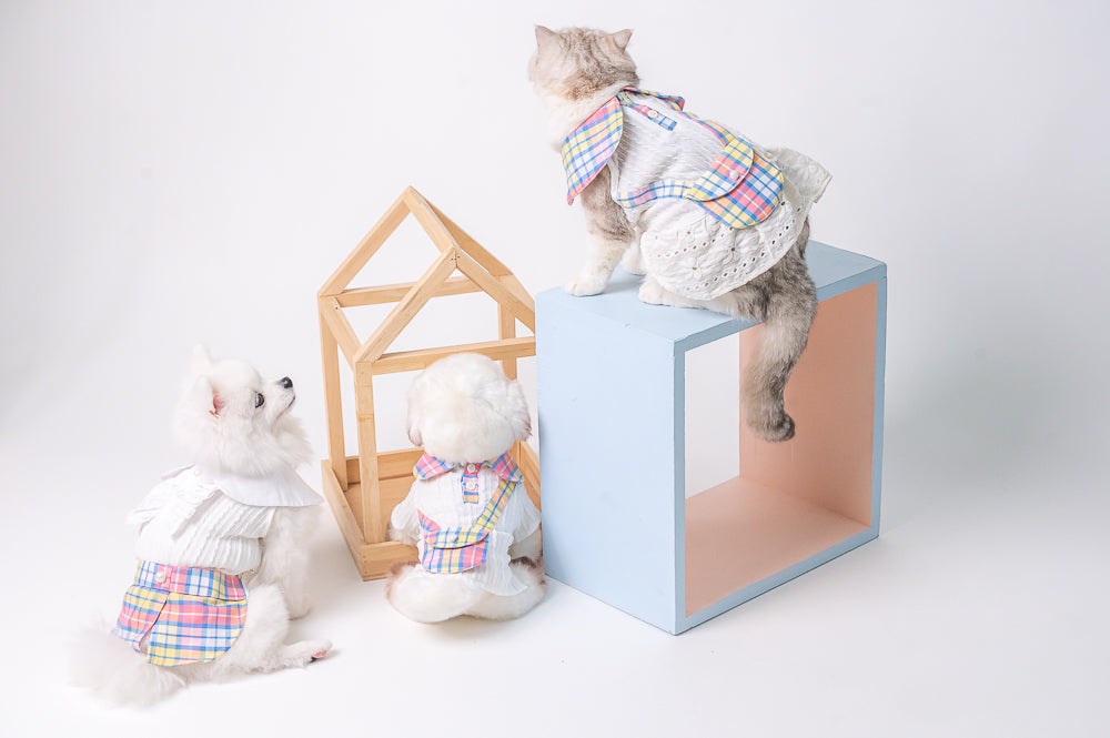 Animal-Go-Round เสื้อผ้าเครื่องแต่งกาย สัตว์เลี้ยง, หมา, แมว, สุนัข รุ่น Scottyboy Pocket