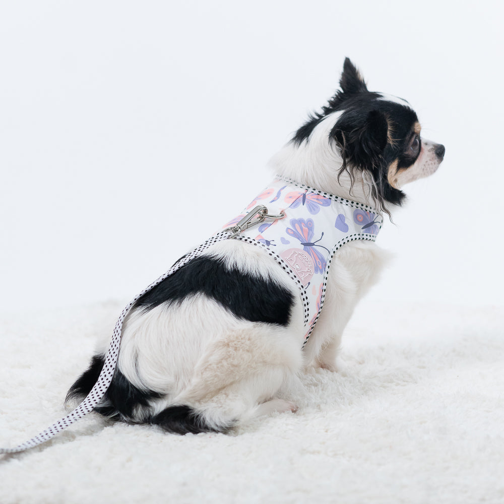 Waggles Lovely Papillon เสื้อผ้า ชุดรัดอก สายจูง สุนัข, หมา, แมว, สัตว์เลี้ยง ขนาดเล็ก - ขนาดกลาง พร้อม สายจูง