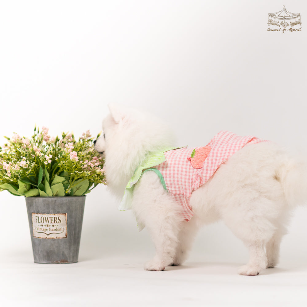 Animal-Go-Round เสื้อผ้าเครื่องแต่งกาย สัตว์เลี้ยง, หมา, แมว, สุนัข รุ่น Juicy Peachy