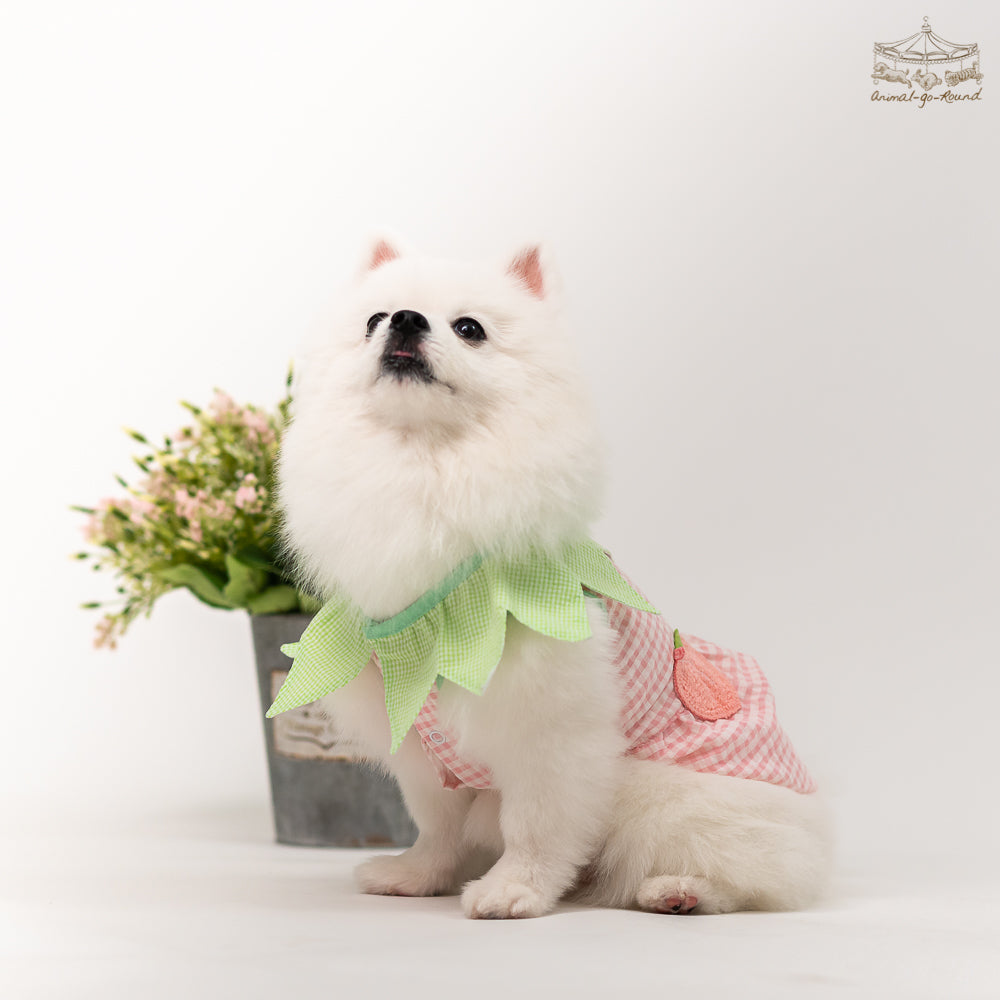 Animal-Go-Round เสื้อผ้าเครื่องแต่งกาย สัตว์เลี้ยง, หมา, แมว, สุนัข รุ่น Juicy Peachy