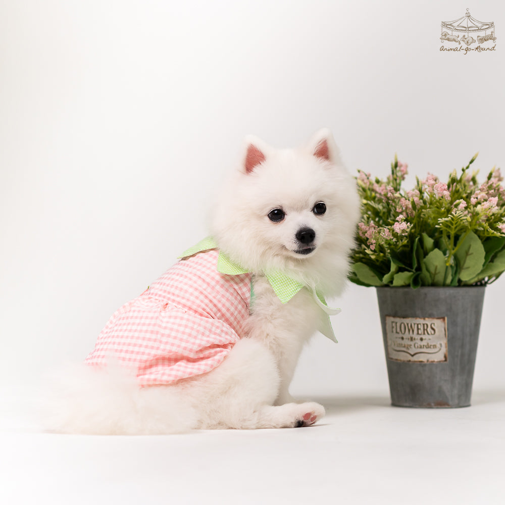 Animal-Go-Round เสื้อผ้าเครื่องแต่งกาย สัตว์เลี้ยง, หมา, แมว, สุนัข รุ่น Juicy Peachy