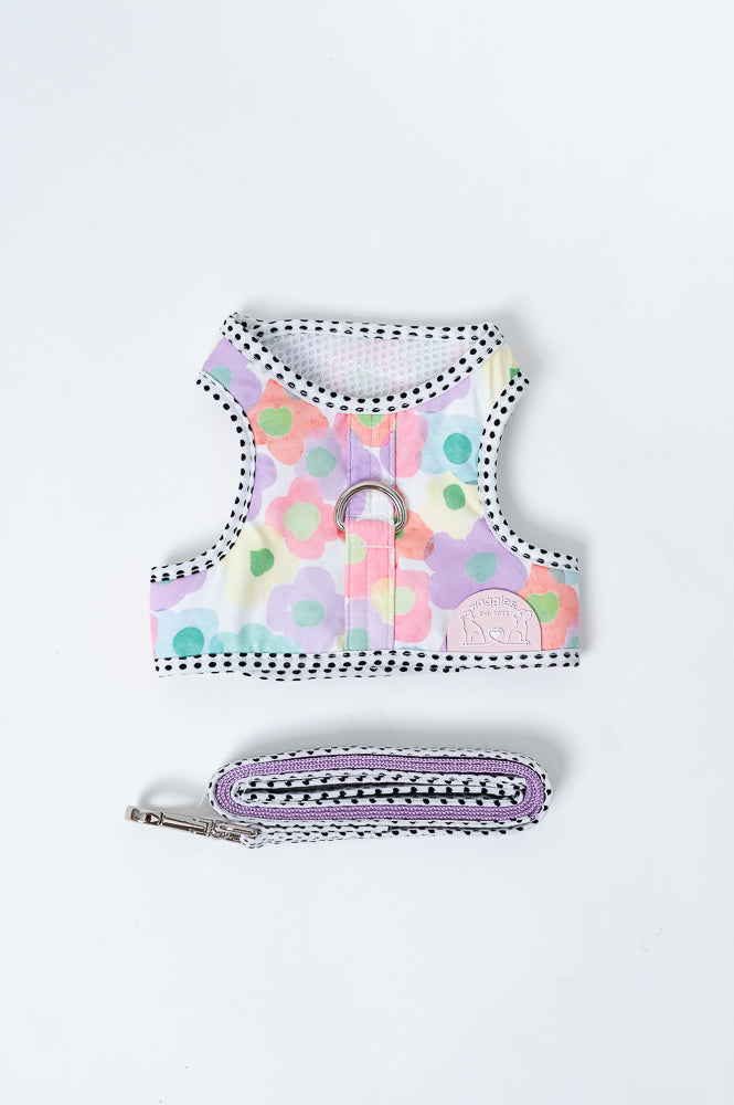 Waggles Lolly Petal เสื้อผ้า ชุดรัดอก สายจูง สุนัข, หมา, แมว, สัตว์เลี้ยง ขนาดเล็ก - ขนาดกลาง พร้อม สายจูง