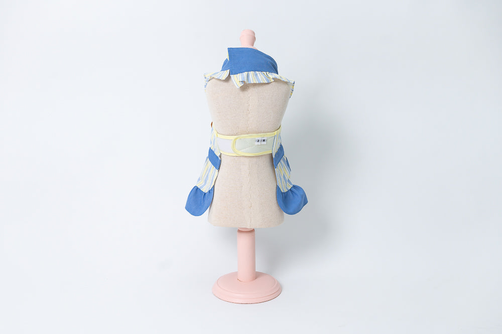 Glitter Pooch Harness ชุดรัดอก สายจูง เสื้อผ้า สุนัข, หมา, แมว, สัตว์เลี้ยง พร้อม สายจูง รุ่น C'est Jeudi Hearty Dress