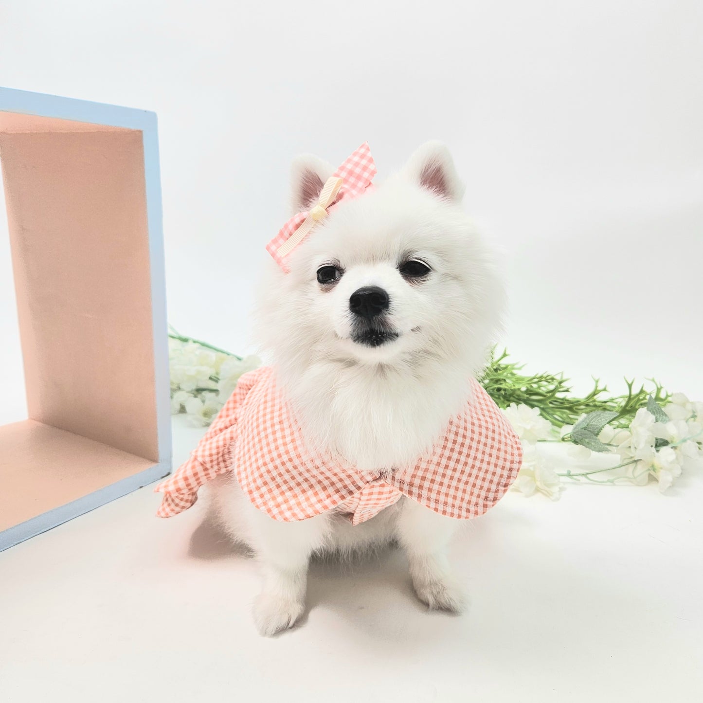 Animal-Go-Round เสื้อผ้าเครื่องแต่งกาย สัตว์เลี้ยง, หมา, แมว, สุนัข รุ่น Taffy Floret Dress