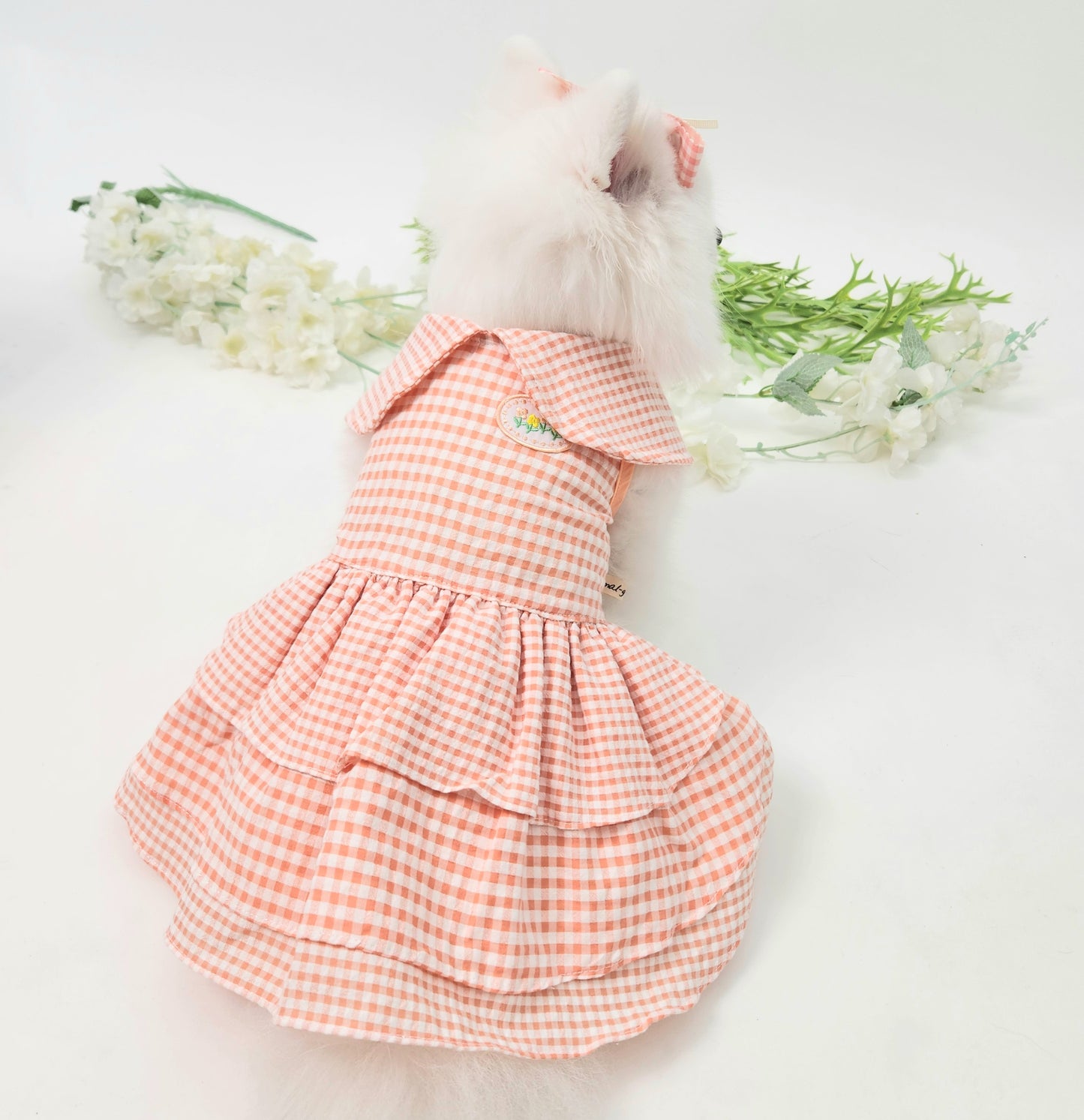 Animal-Go-Round เสื้อผ้าเครื่องแต่งกาย สัตว์เลี้ยง, หมา, แมว, สุนัข รุ่น Taffy Floret Dress