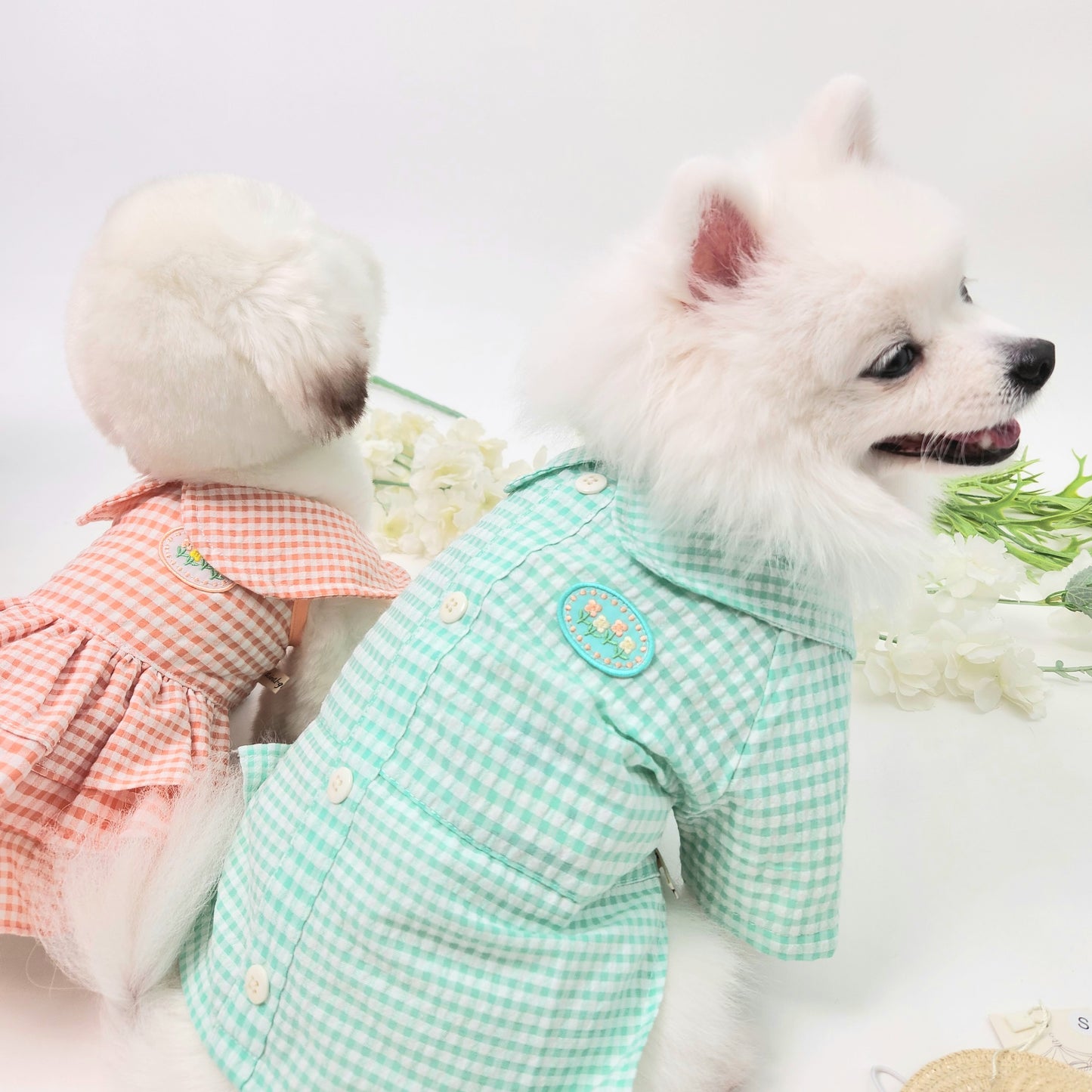 Animal-Go-Round เสื้อผ้าเครื่องแต่งกาย สัตว์เลี้ยง, หมา, แมว, สุนัข รุ่น Posy Blink Shirt