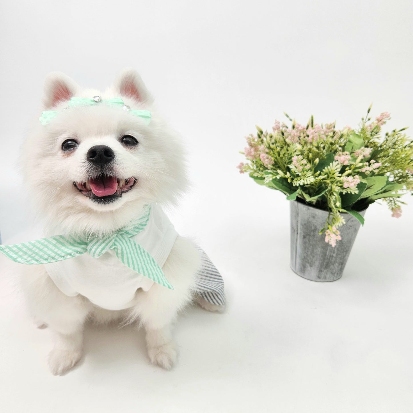 Animal-Go-Round เสื้อผ้าเครื่องแต่งกาย สัตว์เลี้ยง, หมา, แมว, สุนัข รุ่น Coffee Girly