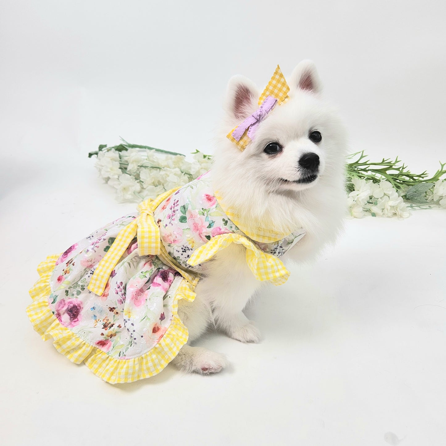 Animal-Go-Round เสื้อผ้าเครื่องแต่งกาย สัตว์เลี้ยง, หมา, แมว, สุนัข รุ่น Yellowy Pollen