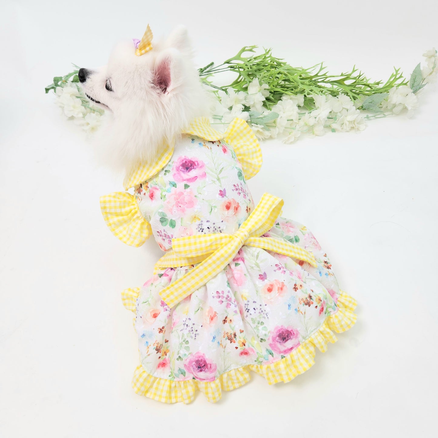 Animal-Go-Round เสื้อผ้าเครื่องแต่งกาย สัตว์เลี้ยง, หมา, แมว, สุนัข รุ่น Yellowy Pollen