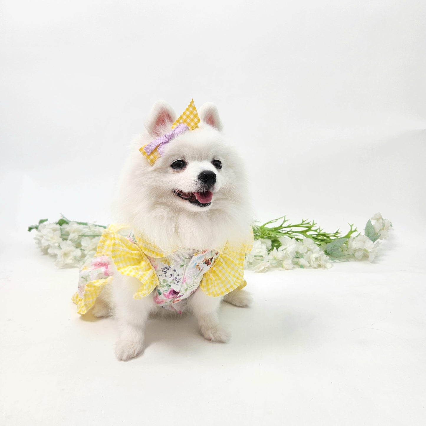 Animal-Go-Round เสื้อผ้าเครื่องแต่งกาย สัตว์เลี้ยง, หมา, แมว, สุนัข รุ่น Yellowy Pollen