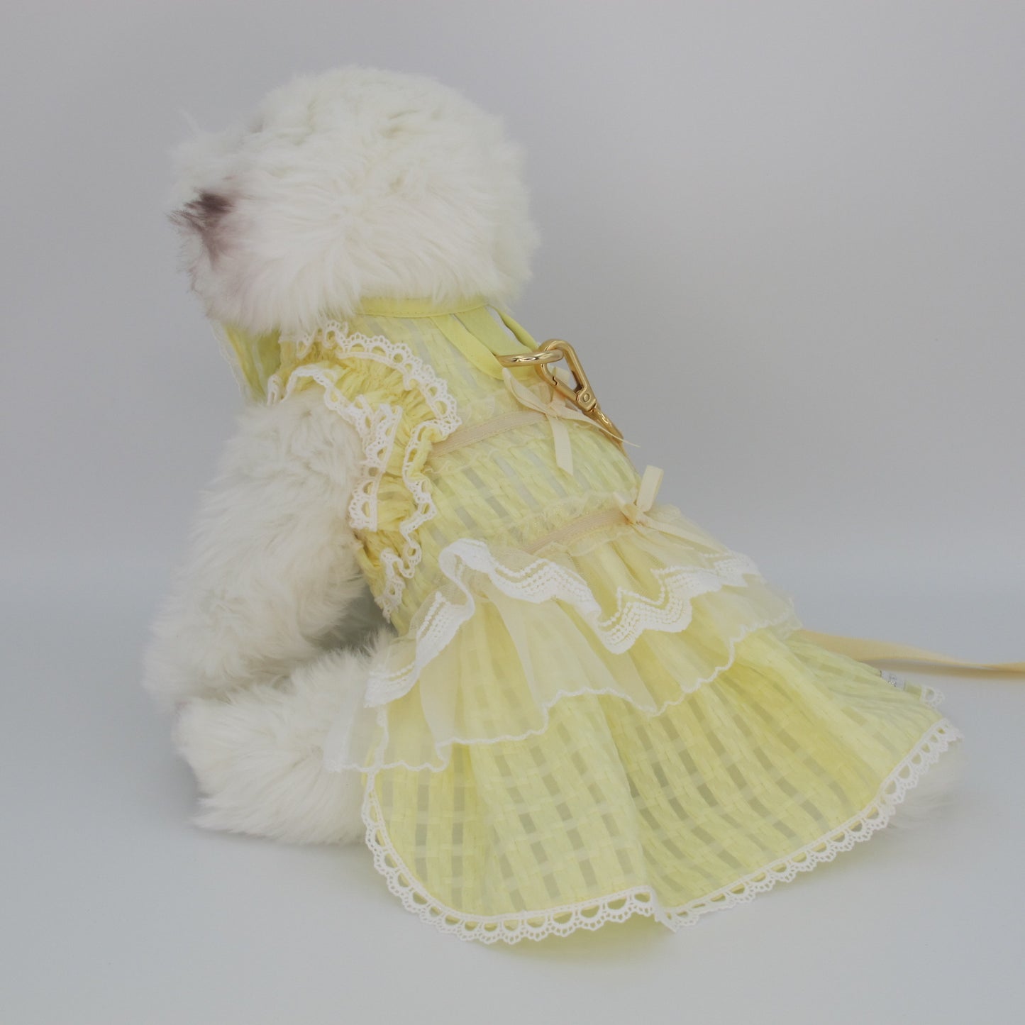 Glitter Pooch Harness ชุดรัดอก สายจูง เสื้อผ้า สุนัข, หมา, แมว, สัตว์เลี้ยง พร้อม สายจูง รุ่น Twinkle Buttery