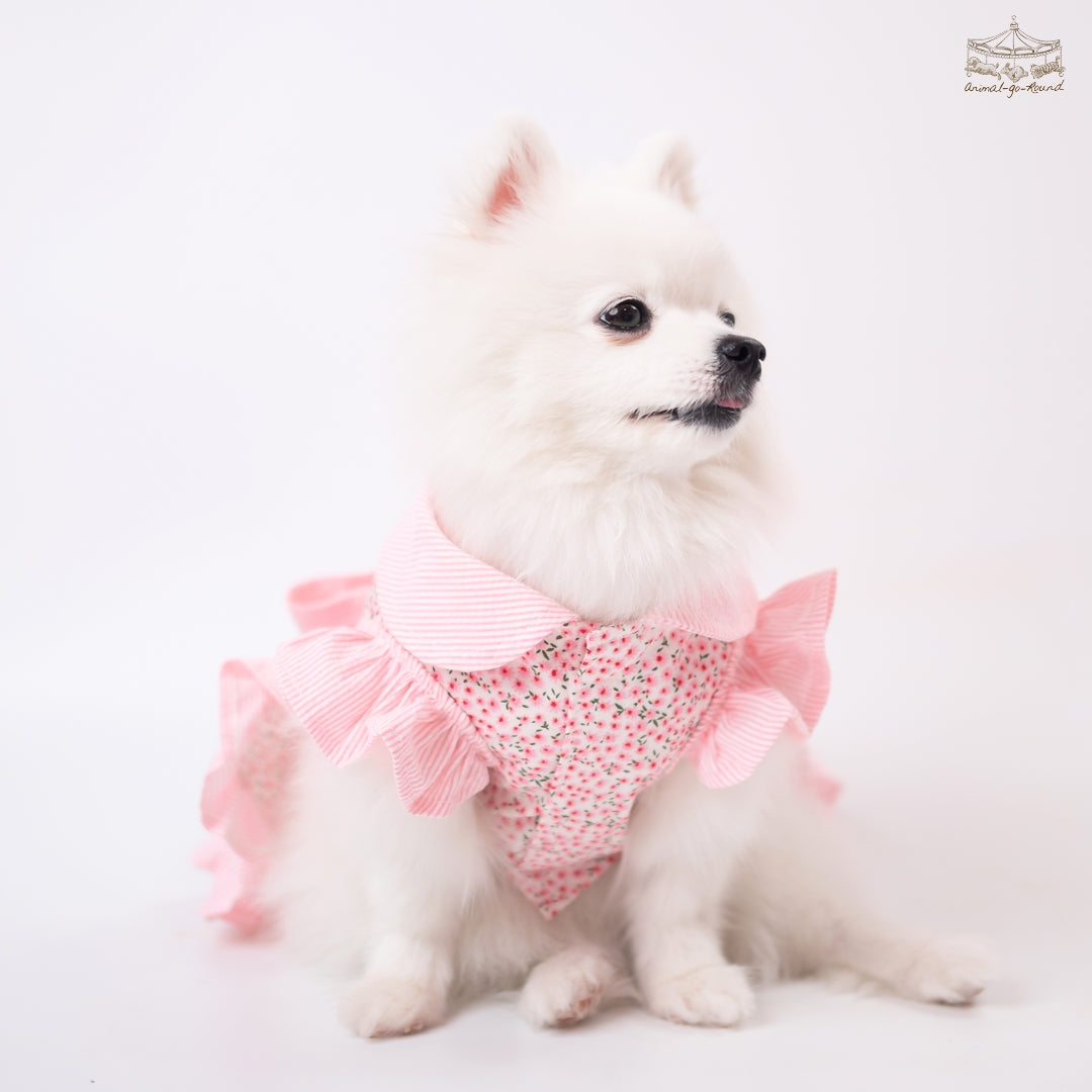 Animal-Go-Round เสื้อผ้าเครื่องแต่งกาย สัตว์เลี้ยง, หมา, แมว, สุนัข รุ่น Baby Bloom Pink