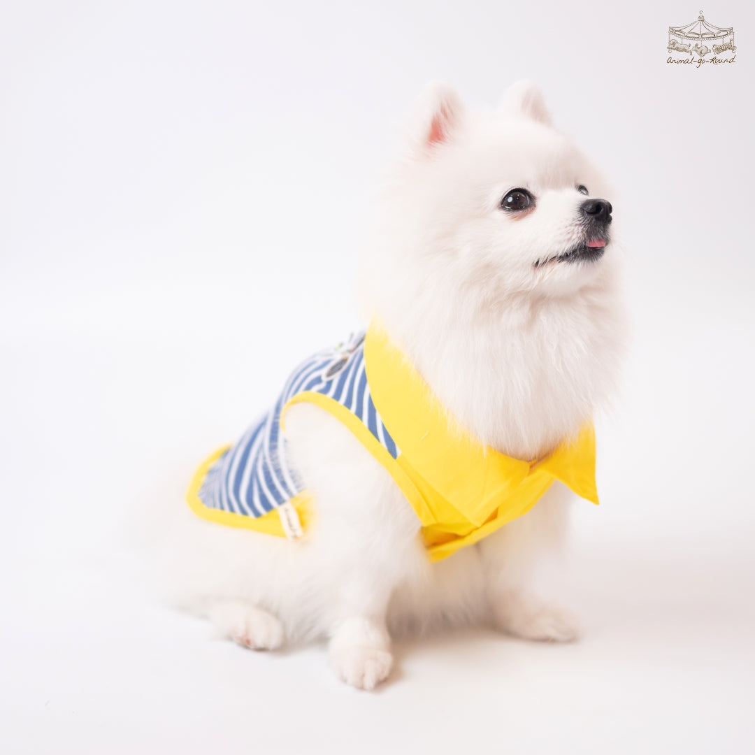 Animal-Go-Round เสื้อผ้าเครื่องแต่งกาย สัตว์เลี้ยง, หมา, แมว, สุนัข รุ่น Sporty Preppy Boy