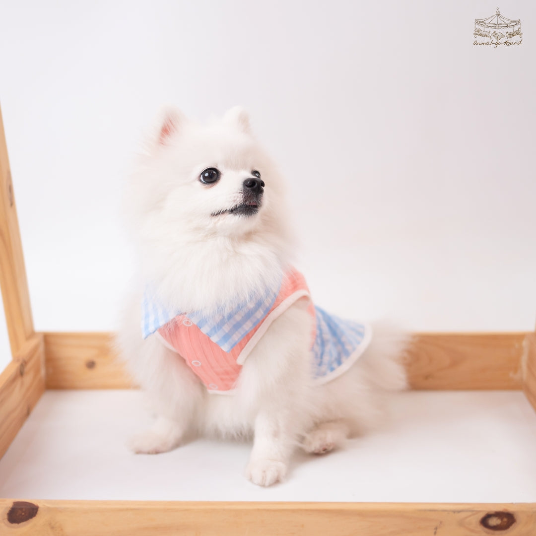 Animal-Go-Round เสื้อผ้าเครื่องแต่งกาย สัตว์เลี้ยง, หมา, แมว, สุนัข รุ่น Kiddo Panda Boy