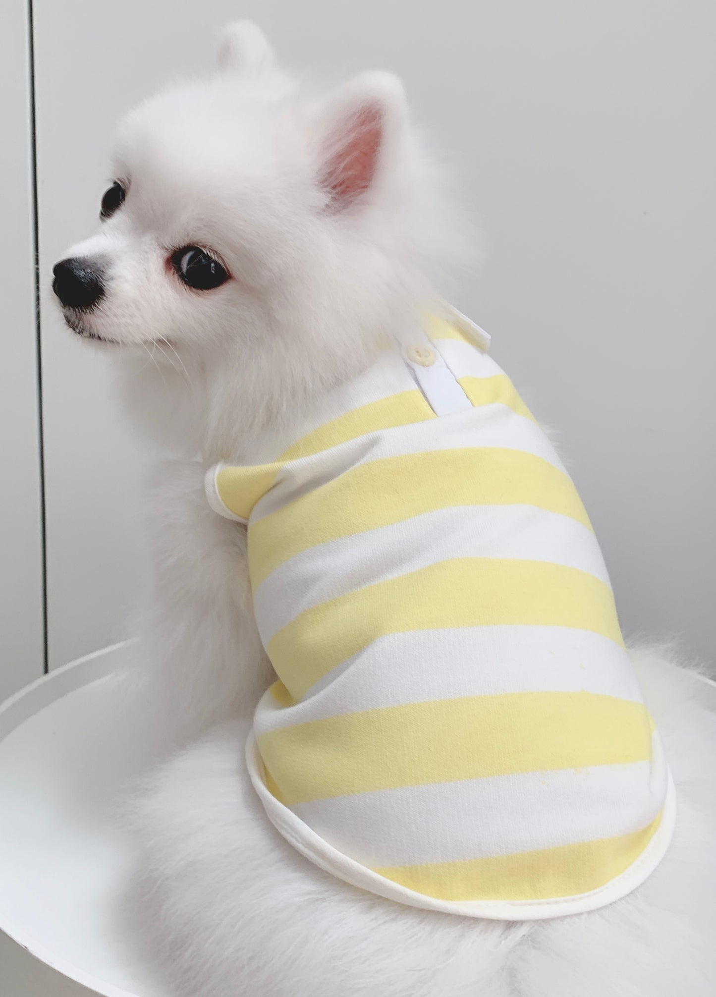 Cotton Tail เสื้อผ้าสัตว์เลี้ยง, หมา, แมว, สุนัข รุ่น Yellow Sunshine