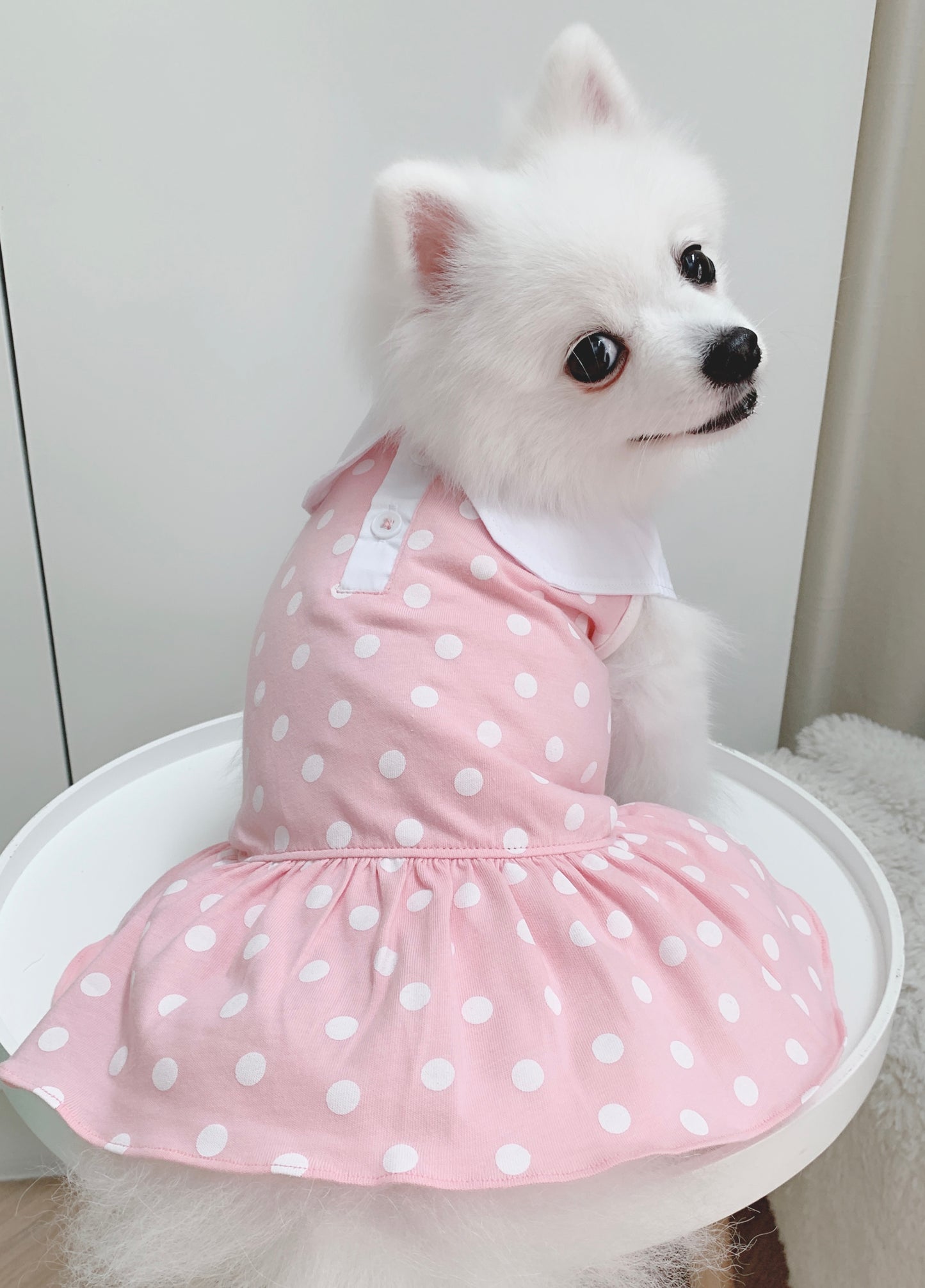 Cotton Tail เสื้อผ้าสัตว์เลี้ยง, หมา, แมว, สุนัข รุ่น Pinkie Pie