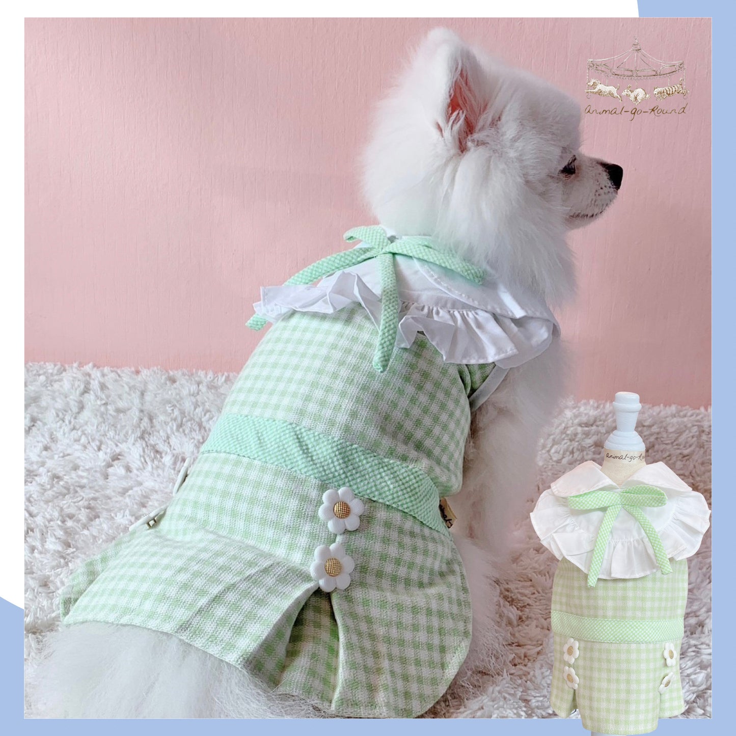 Animal-Go-Round เสื้อผ้าเครื่องแต่งกาย สัตว์เลี้ยง, หมา, แมว, สุนัข รุ่น Acacia Green