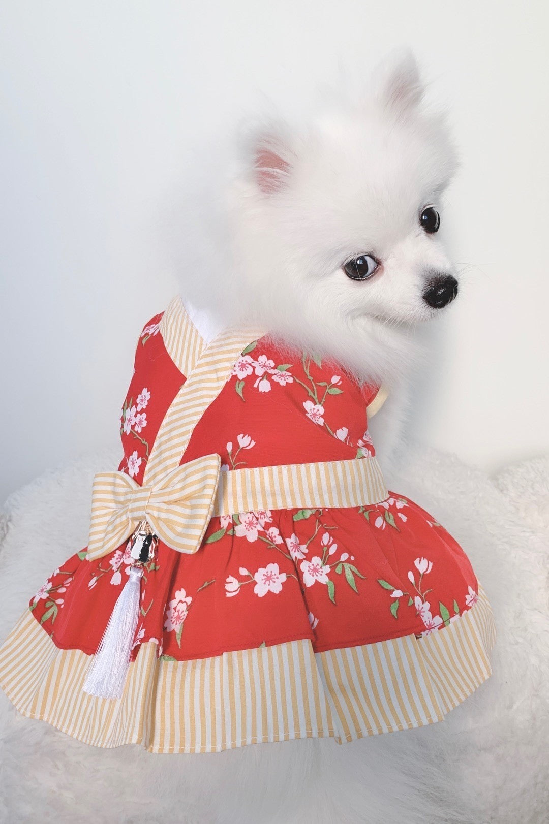 Animal-Go-Round เสื้อผ้าเครื่องแต่งกาย สัตว์เลี้ยง, หมา, แมว, สุนัข รุ่น Bunnies CNY Girl