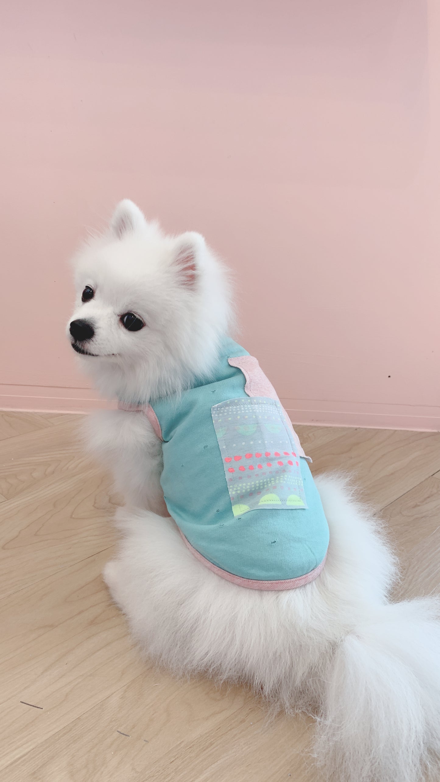 Cotton Tail เสื้อผ้าสัตว์เลี้ยง, หมา, แมว, สุนัข รุ่น Gummy Jelly Boy