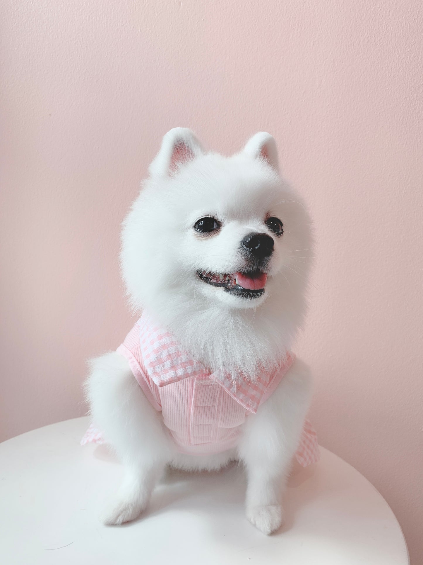 Animal-Go-Round เสื้อผ้าเครื่องแต่งกาย สัตว์เลี้ยง, หมา, แมว, สุนัข รุ่น Bunny Pink Girl
