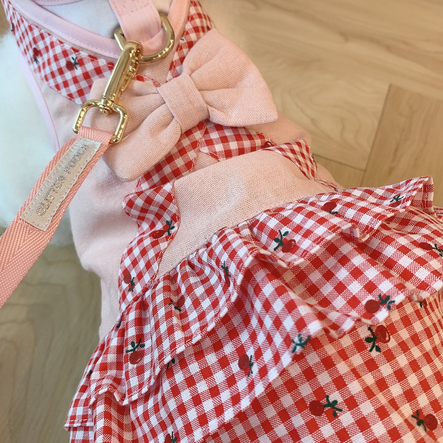 Glitter Pooch ชุดรัดอก สายจูง เสื้อผ้า สุนัข, หมา, แมว, สัตว์เลี้ยง พร้อม สายจูง รุ่น Let's Picnic Girl