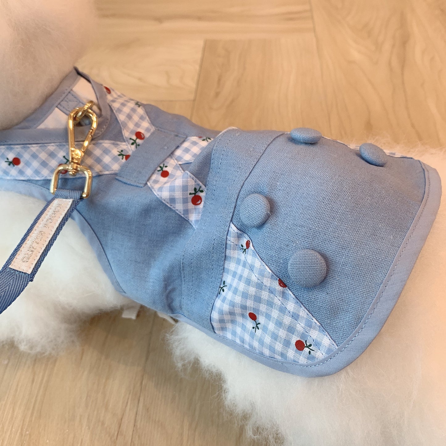 Glitter Pooch ชุดรัดอก สายจูง เสื้อผ้า สุนัข, หมา, แมว, สัตว์เลี้ยง พร้อม สายจูง รุ่น Let's Picnic Boy