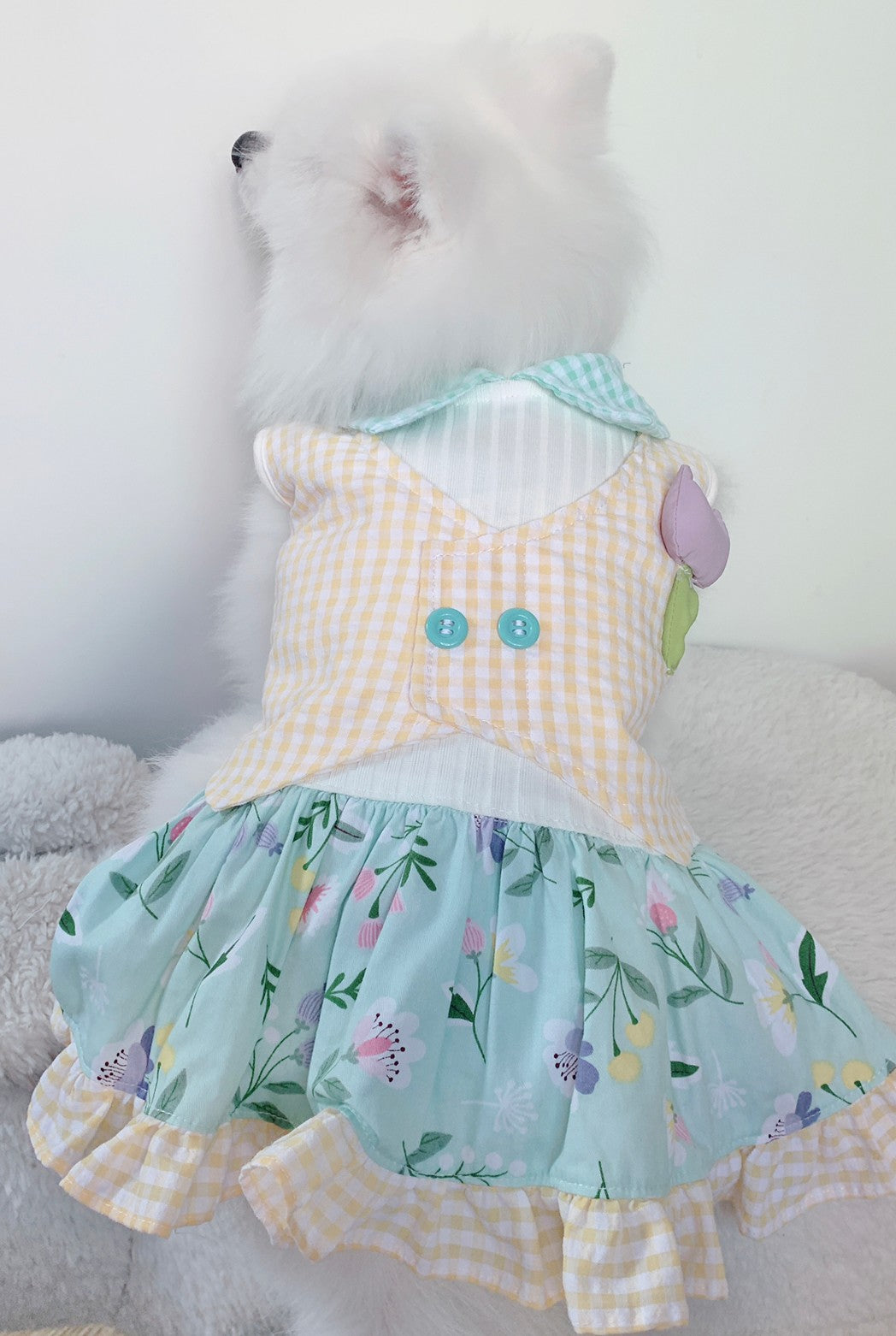 Animal-Go-Round เสื้อผ้าเครื่องแต่งกาย สัตว์เลี้ยง, หมา, แมว, สุนัข รุ่น Tulip Mania Girl