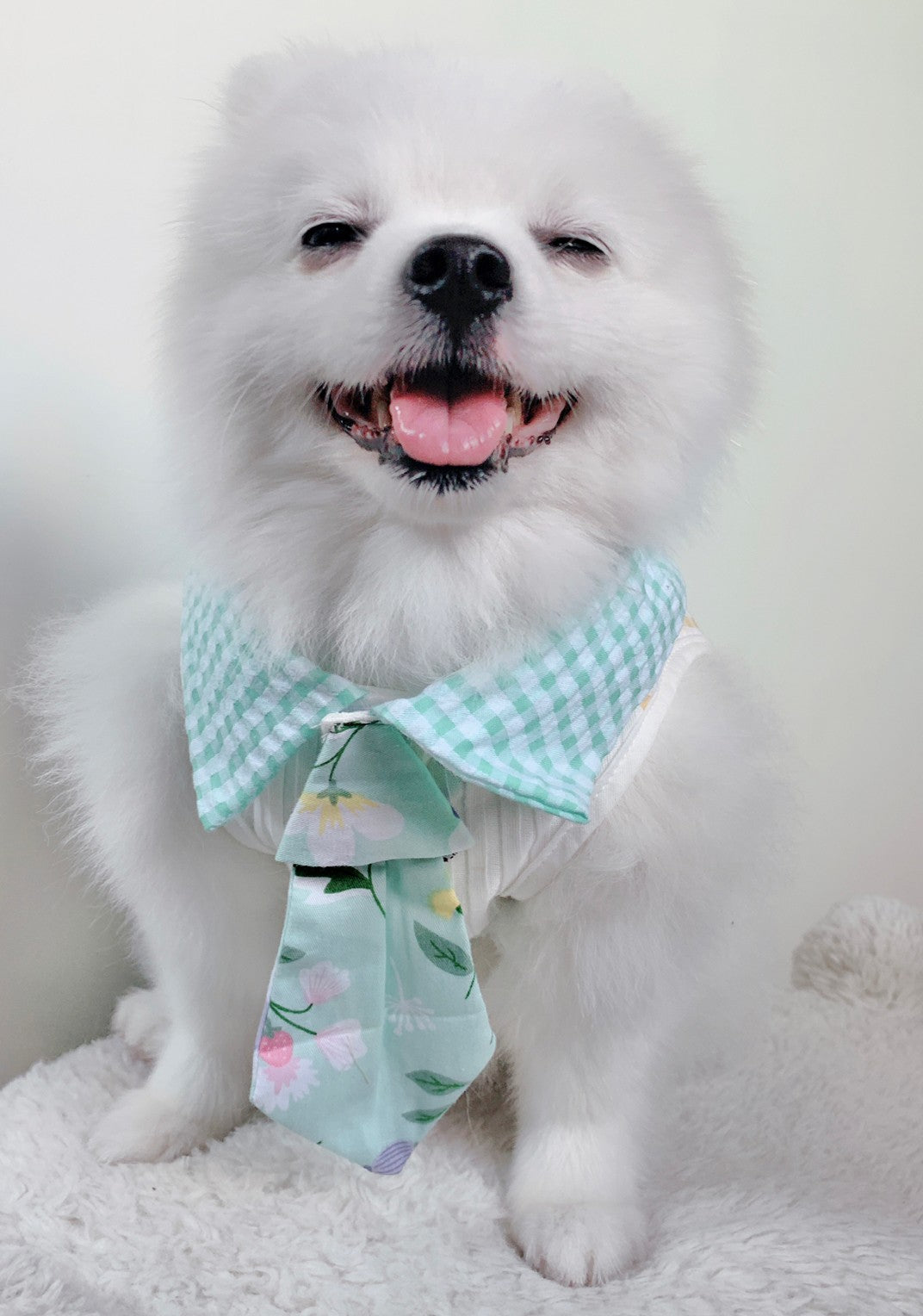 Animal-Go-Round เสื้อผ้าเครื่องแต่งกาย สัตว์เลี้ยง, หมา, แมว, สุนัข รุ่น Tulip Mania Boy