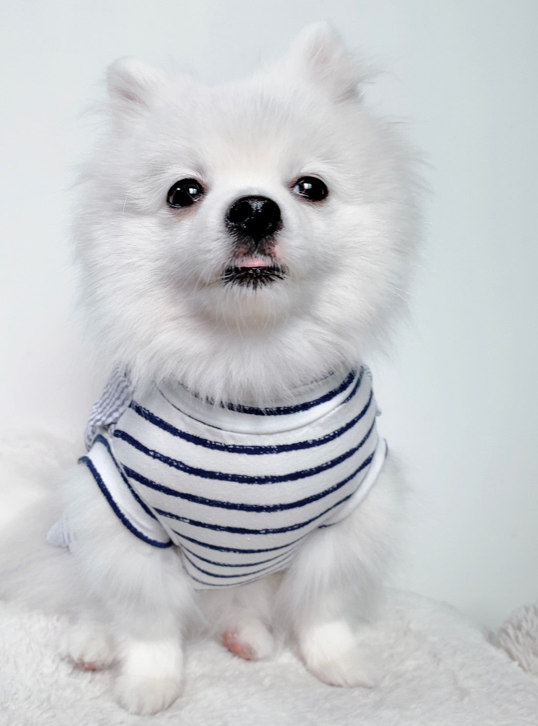 Animal-Go-Round เสื้อผ้าเครื่องแต่งกาย สัตว์เลี้ยง, หมา, แมว, สุนัข รุ่น Smith-Blue SnowFlake