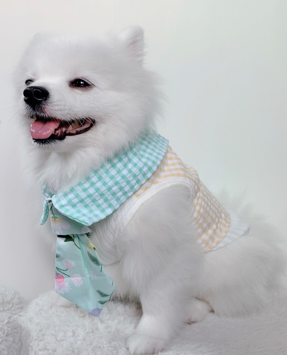 Animal-Go-Round เสื้อผ้าเครื่องแต่งกาย สัตว์เลี้ยง, หมา, แมว, สุนัข รุ่น Tulip Mania Boy