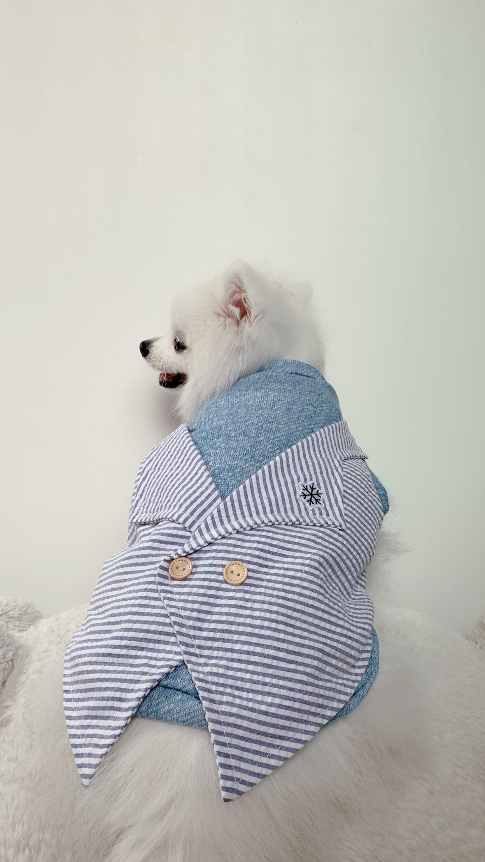 Animal-Go-Round เสื้อผ้าเครื่องแต่งกาย สัตว์เลี้ยง, หมา, แมว, สุนัข รุ่น Smith-Blue