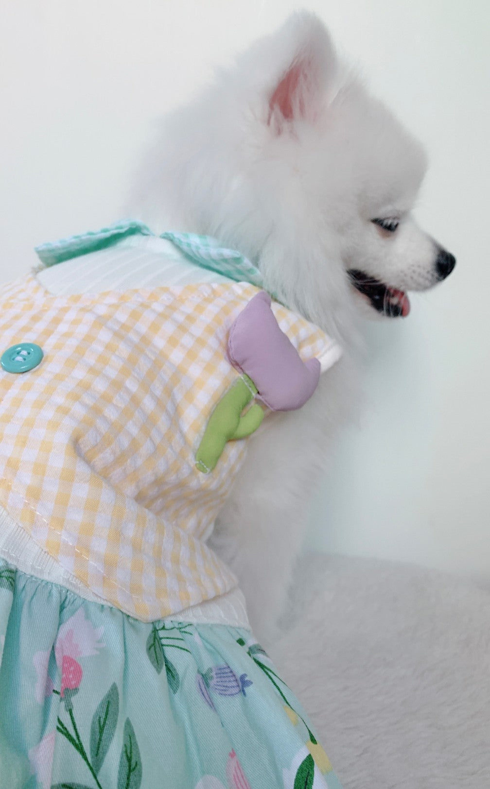 Animal-Go-Round เสื้อผ้าเครื่องแต่งกาย สัตว์เลี้ยง, หมา, แมว, สุนัข รุ่น Tulip Mania Girl