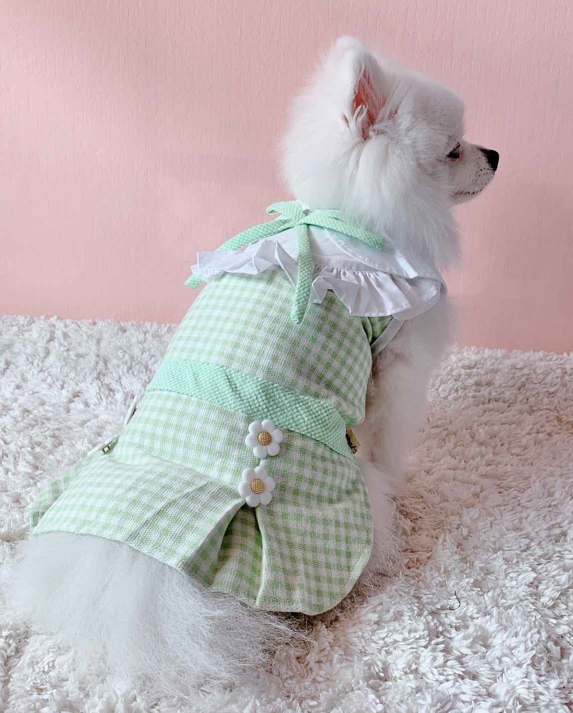 Animal-Go-Round เสื้อผ้าเครื่องแต่งกาย สัตว์เลี้ยง, หมา, แมว, สุนัข รุ่น Acacia Green