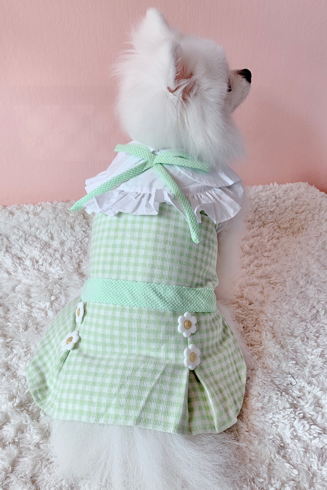 Animal-Go-Round เสื้อผ้าเครื่องแต่งกาย สัตว์เลี้ยง, หมา, แมว, สุนัข รุ่น Acacia Green