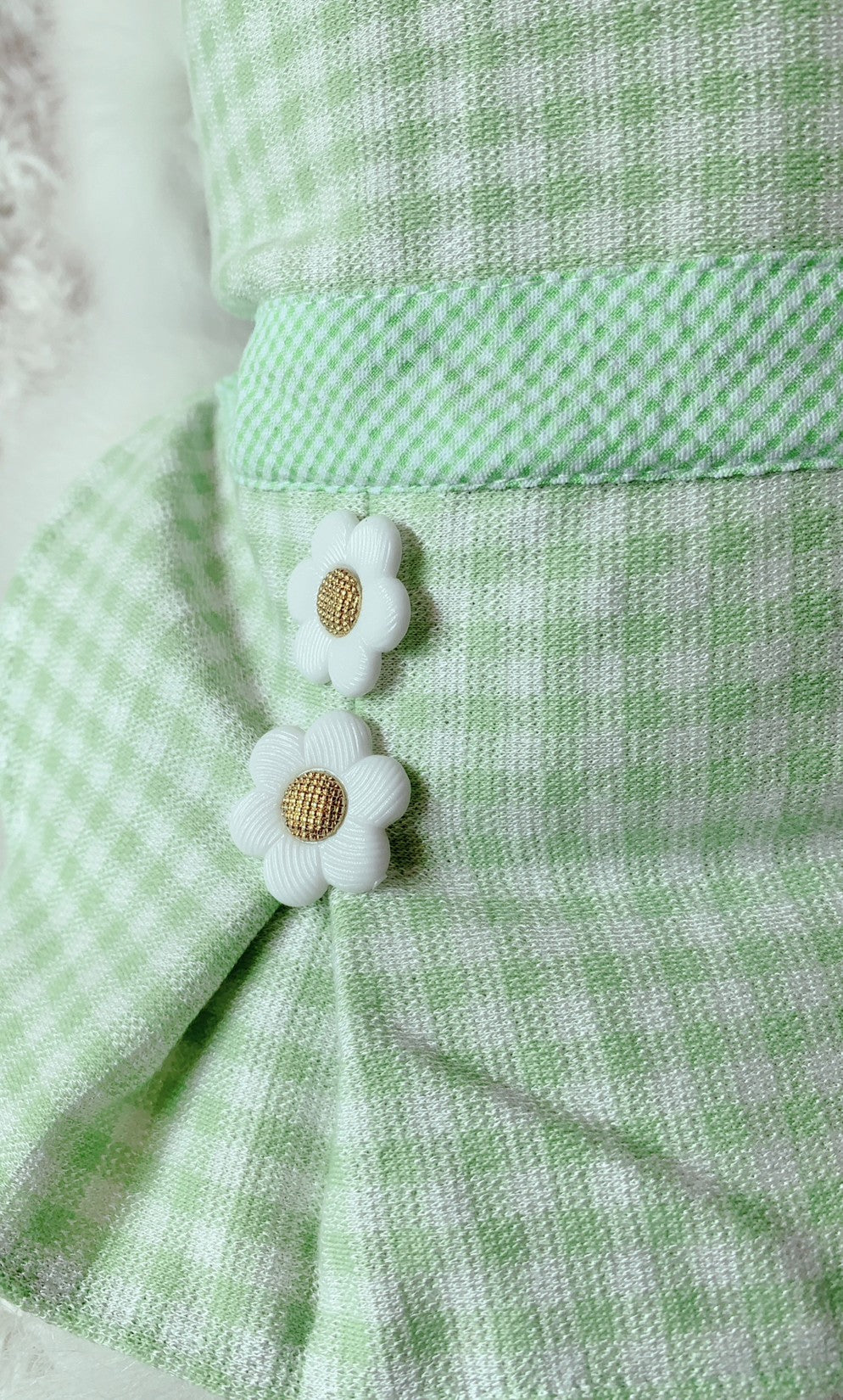 Animal-Go-Round เสื้อผ้าเครื่องแต่งกาย สัตว์เลี้ยง, หมา, แมว, สุนัข รุ่น Acacia Green