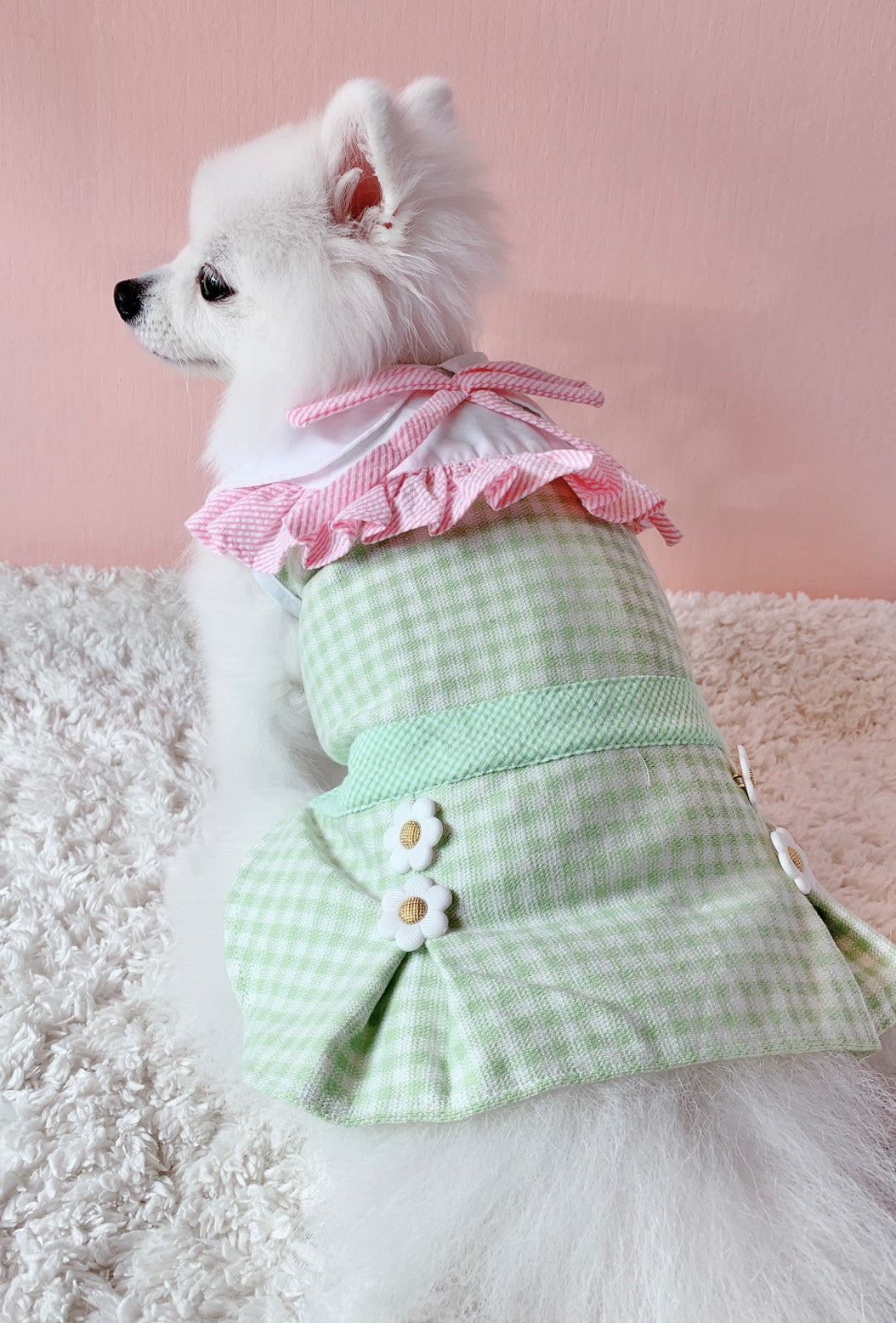 Animal-Go-Round เสื้อผ้าเครื่องแต่งกาย สัตว์เลี้ยง, หมา, แมว, สุนัข รุ่น Acacia Red
