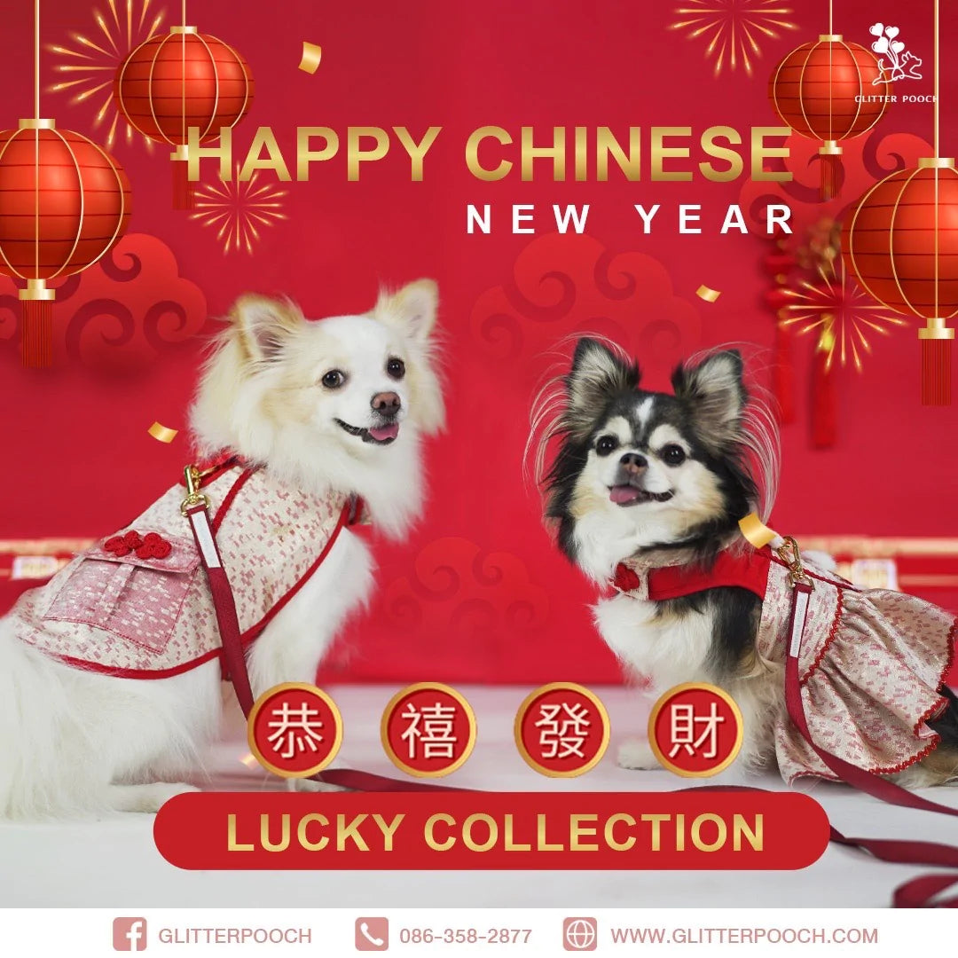 Glitter Pooch Harness ชุดรัดอก สายจูง เสื้อผ้า สุนัข, หมา, แมว, สัตว์เลี้ยง พร้อม สายจูง รุ่น New Eastern Girl