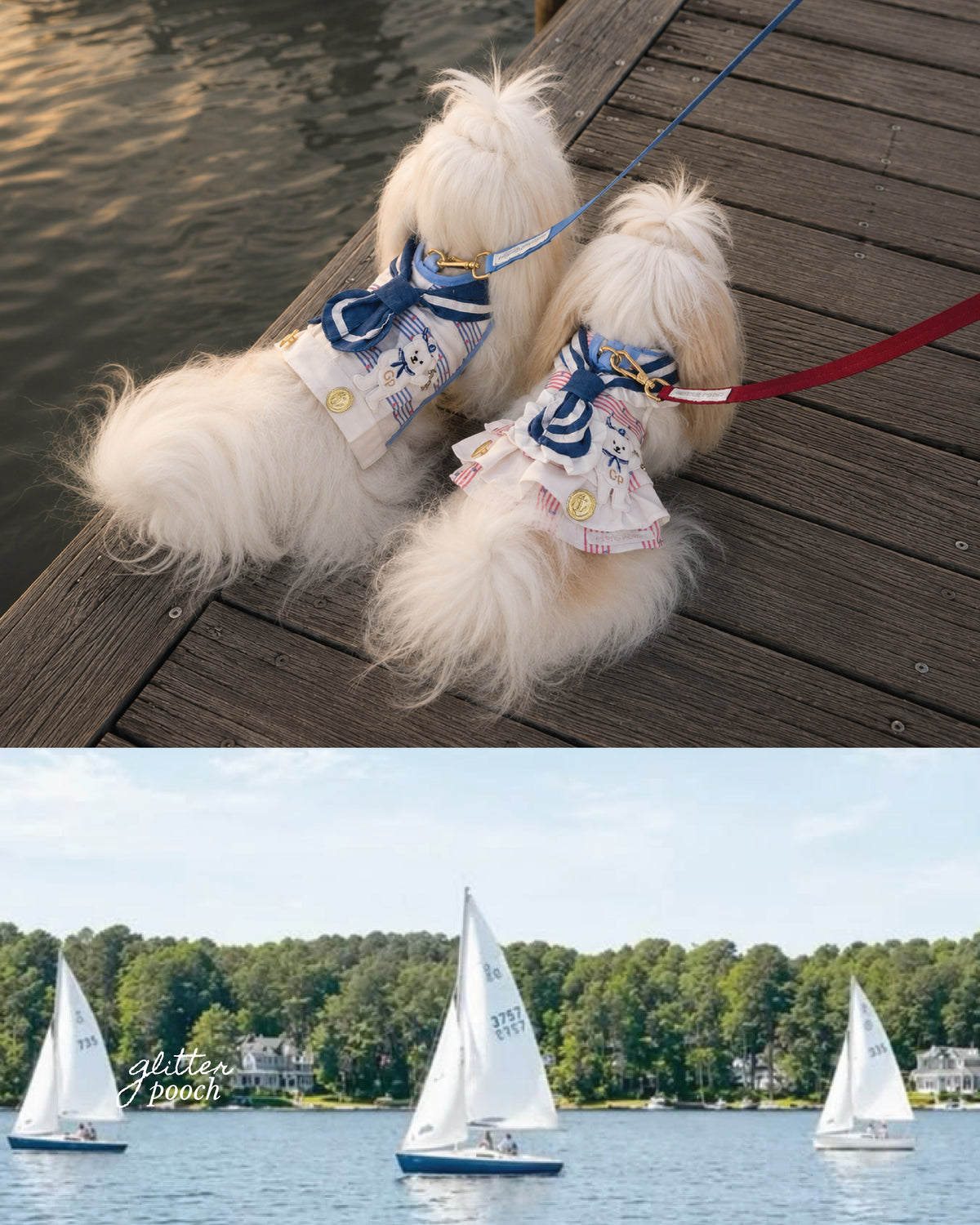 Glitter Pooch Harness ชุดรัดอก สายจูง เสื้อผ้า สุนัข, หมา, แมว, สัตว์เลี้ยง พร้อม สายจูง รุ่น The Regetta Club - Boy