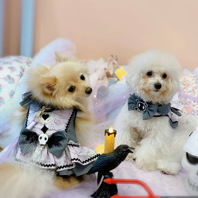 Glitter Pooch Harness ชุดรัดอก สายจูง เสื้อผ้า สุนัข, หมา, แมว, สัตว์เลี้ยง พร้อม สายจูง รุ่น Halloween Boy 2023