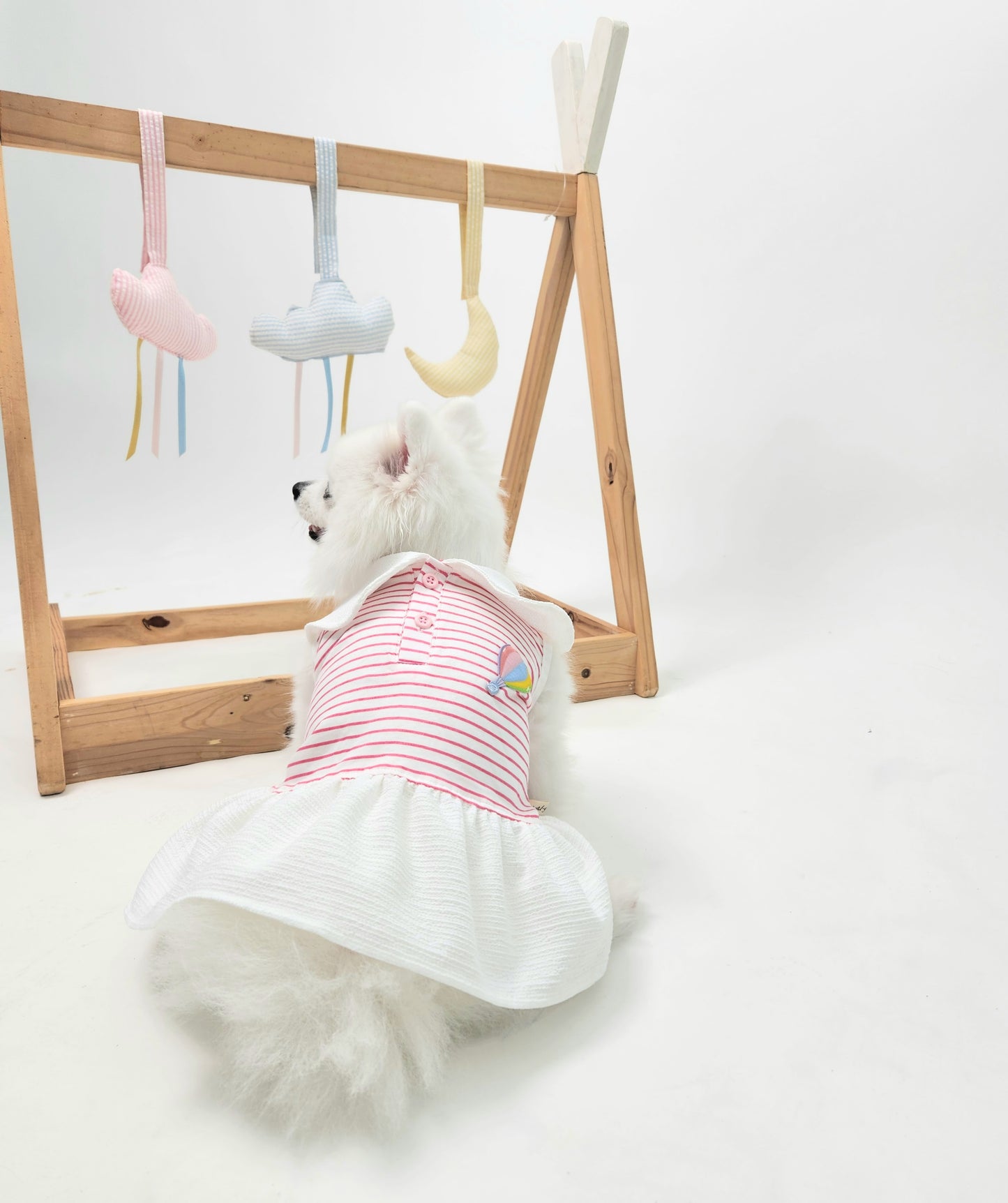 Animal-Go-Round เสื้อผ้าเครื่องแต่งกาย สัตว์เลี้ยง, หมา, แมว, สุนัข รุ่น Bonbon Balloon