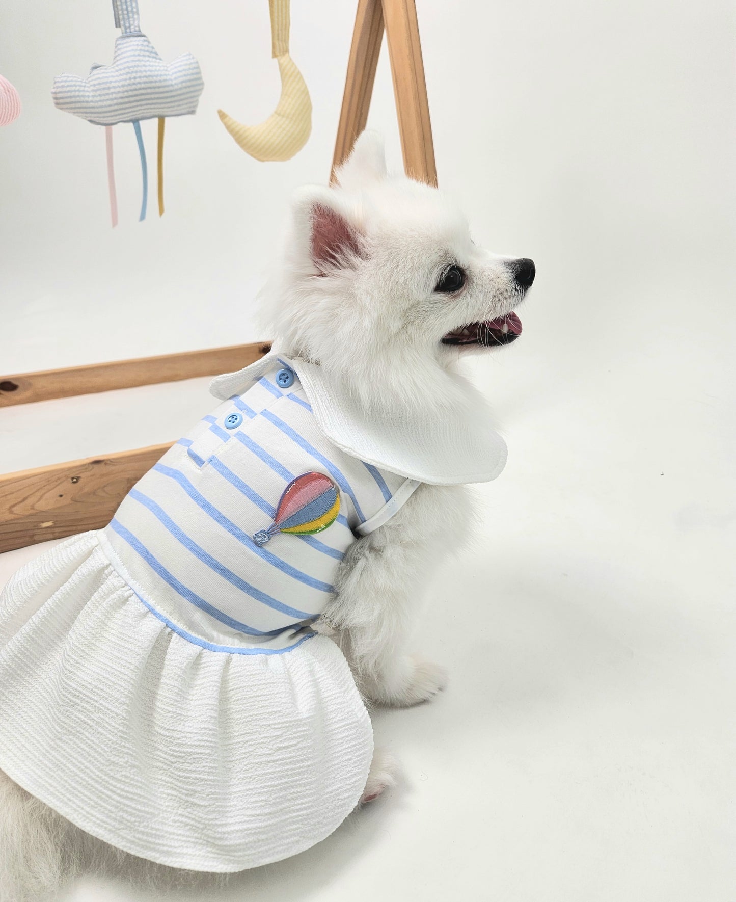 Animal-Go-Round เสื้อผ้าเครื่องแต่งกาย สัตว์เลี้ยง, หมา, แมว, สุนัข รุ่น Bubble Balloon