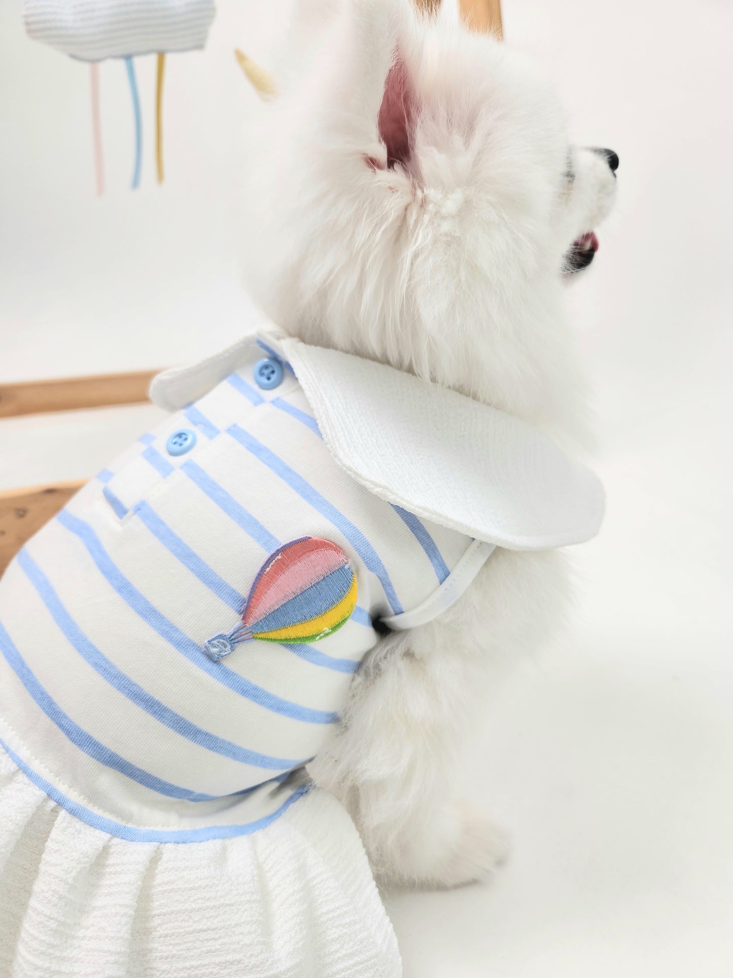 Animal-Go-Round เสื้อผ้าเครื่องแต่งกาย สัตว์เลี้ยง, หมา, แมว, สุนัข รุ่น Bubble Balloon