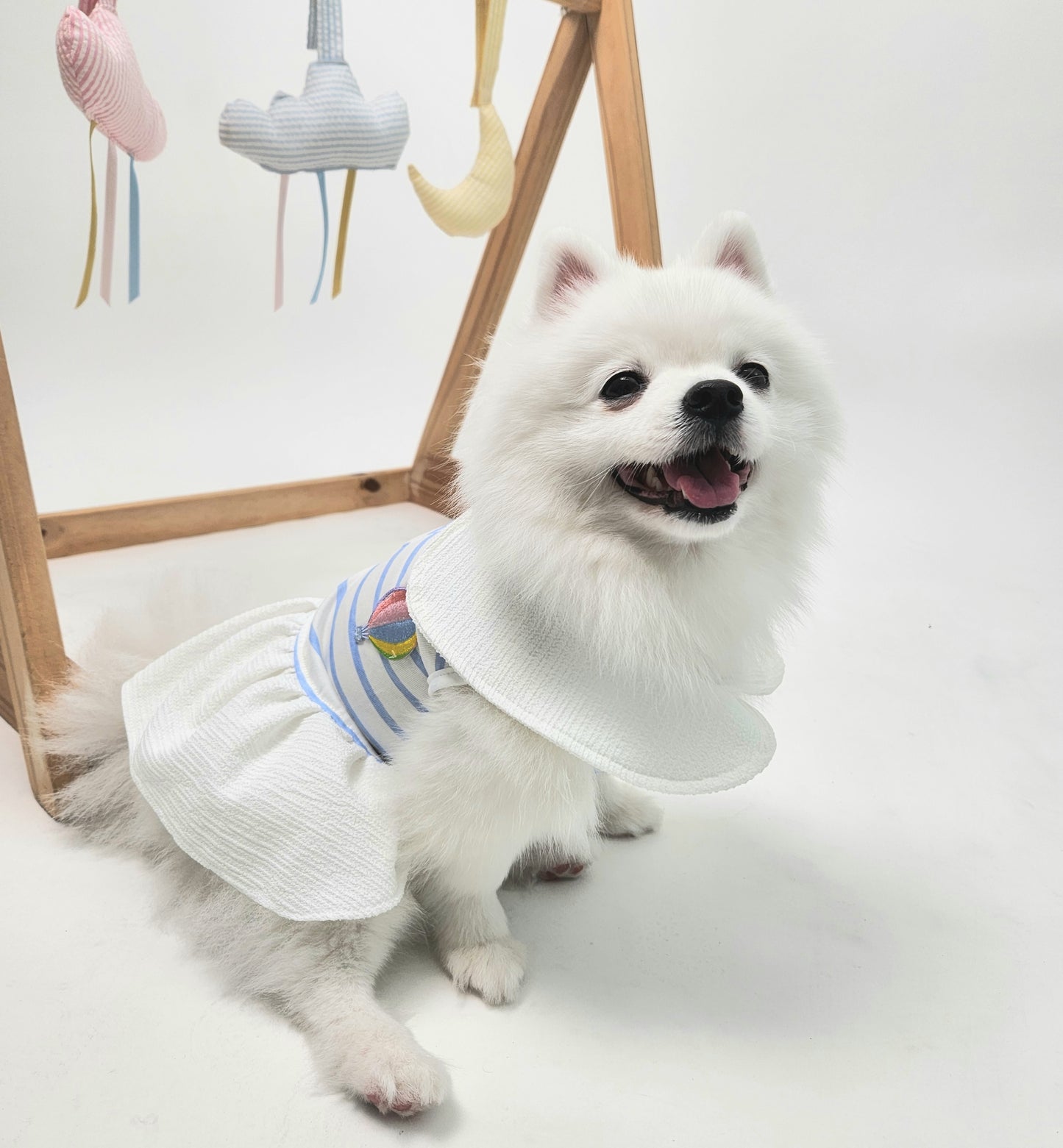 Animal-Go-Round เสื้อผ้าเครื่องแต่งกาย สัตว์เลี้ยง, หมา, แมว, สุนัข รุ่น Bubble Balloon